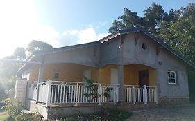 Zoranj Delair